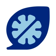 Connect Psych Services logo